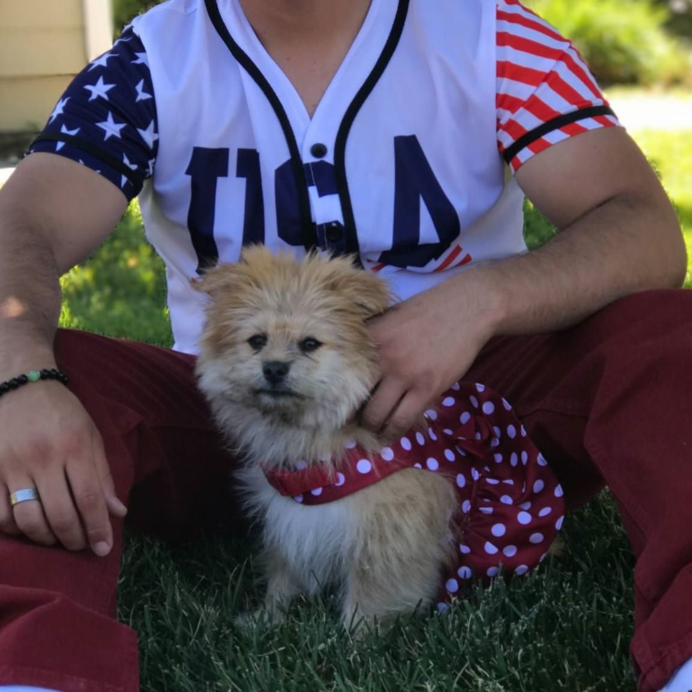 Meet your Posher, Erick